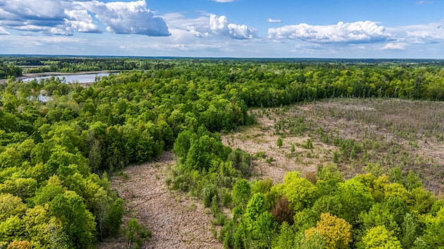 0000 Lamon Rd NE, Bemidji, MN 56601