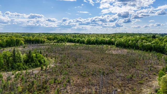 0000 Lamon Rd NE, Bemidji, MN 56601