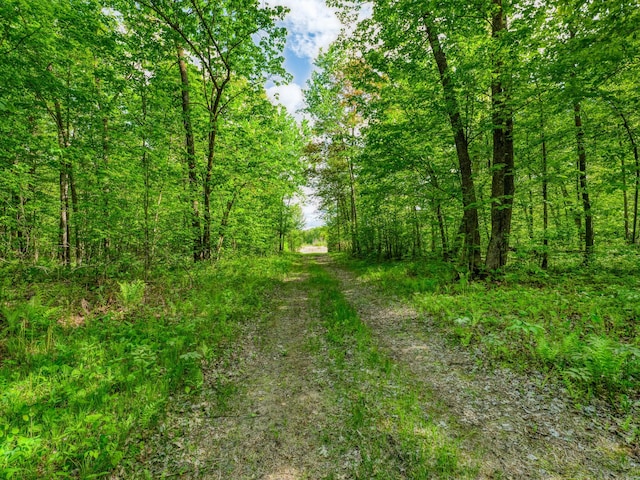 0000 Lamon Rd NE, Bemidji, MN 56601