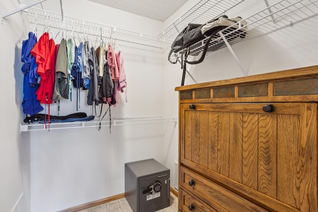 16480 Elm Creek Ln, Lakeville, MN 55044 - walk in closet featuring carpet flooring