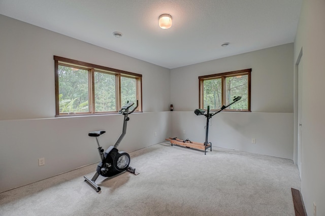 1167 56th St, Hudson, WI 54016 - exercise area featuring carpet