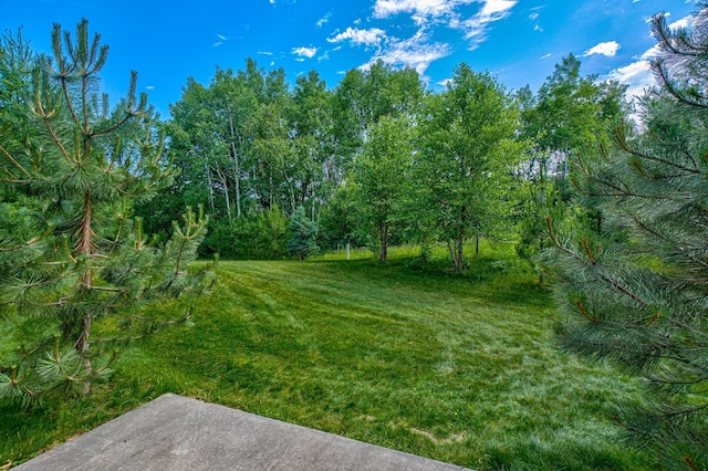 1167 56th St, Hudson, WI 54016 - view of grassy yard