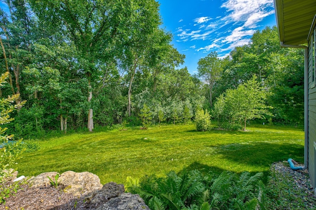 1167 56th St, Hudson, WI 54016 - view of grassy yard