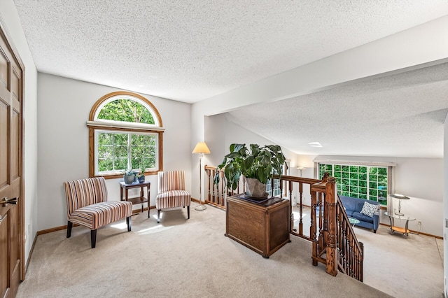 5711 Donegal Dr, Shoreview, MN 55126 - living area with a textured ceiling, an upstairs landing, healthy amount of natural light, and carpet flooring