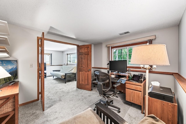 5711 Donegal Dr, Shoreview, MN 55126 - home office featuring light colored carpet, plenty of natural light, and a textured ceiling