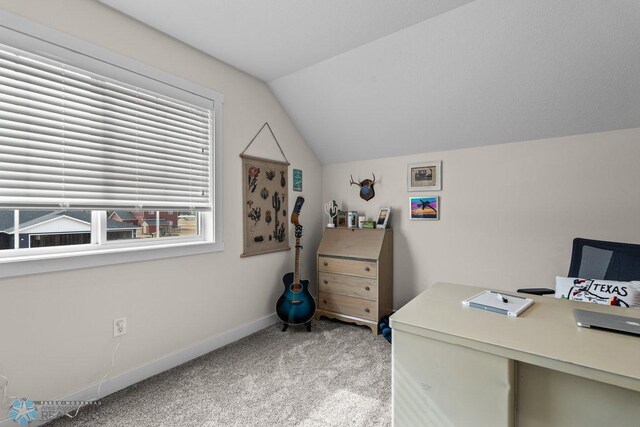 300 Pine Dr, Hankinson, ND 58041 - photo 28