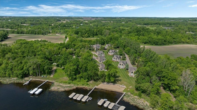 4132 Omaha Ln NW, Alexandria, MN 56308 - aerial view of a forest and a nearby body of water