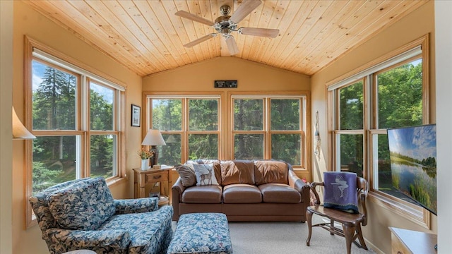 4132 Omaha Ln NW, Alexandria, MN 56308 - sunroom / solarium with vaulted ceiling