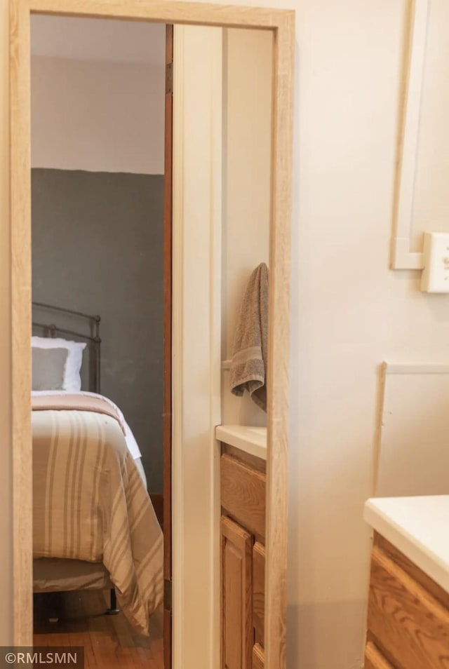 305 7th Ave E, Alexandria, MN 56308 - bedroom featuring wood finished floors and a closet
