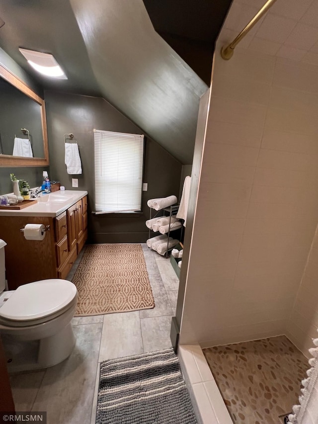 305 7th Ave E, Alexandria, MN 56308 - full bath with lofted ceiling, toilet, vanity, and a tile shower
