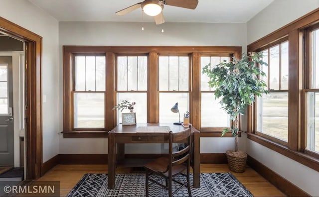 305 7th Ave E, Alexandria, MN 56308 - office area featuring wood finished floors, a ceiling fan, and baseboards