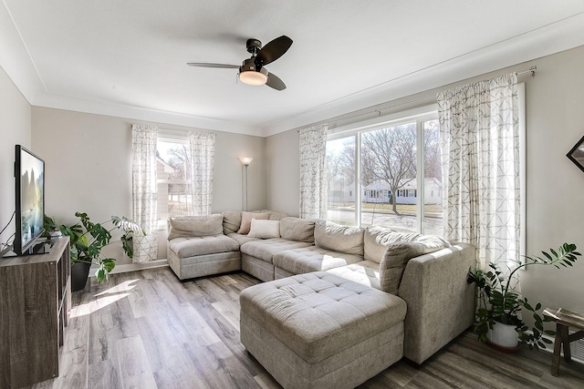 321 15th Ave N, Hopkins, MN 55343 - living room featuring a ceiling fan, wood finished floors, and crown molding