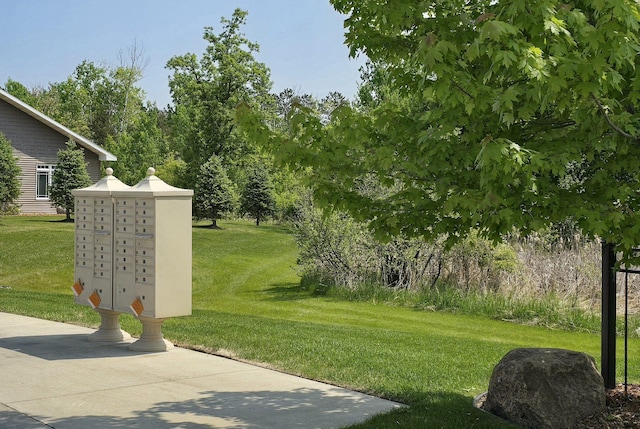 1300 Event Center Dr NE # 23, Bemidji, MN 56601 - view of grassy yard featuring mail area