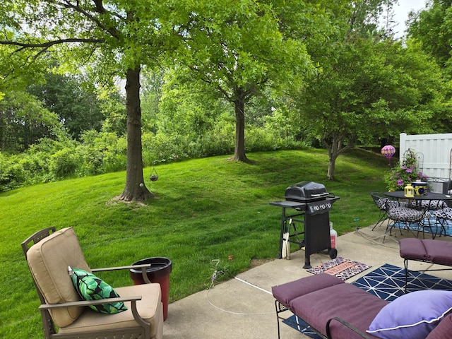 18699 Kalmar Ct, Lakeville, MN 55044 - photo 5