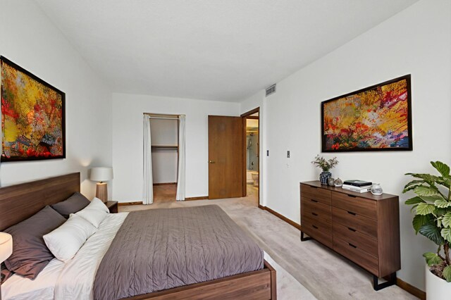 1425 28th St Unit 201, Minneapolis, MN 55408 - bedroom with light carpet, baseboards, a walk in closet, and a closet