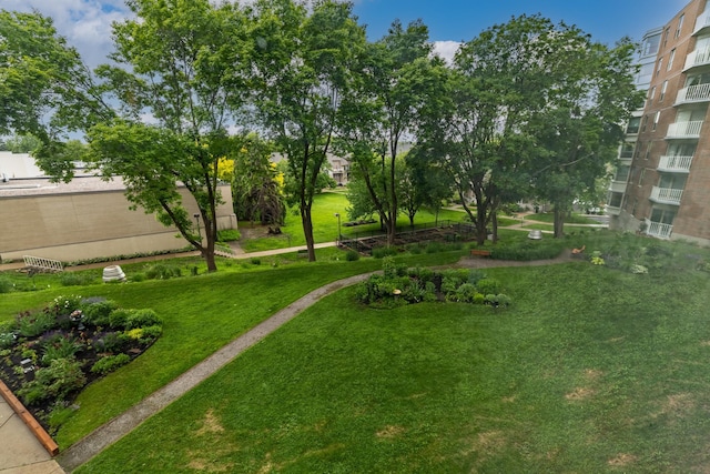 1425 28th St Unit 201, Minneapolis, MN 55408 - view of grassy yard