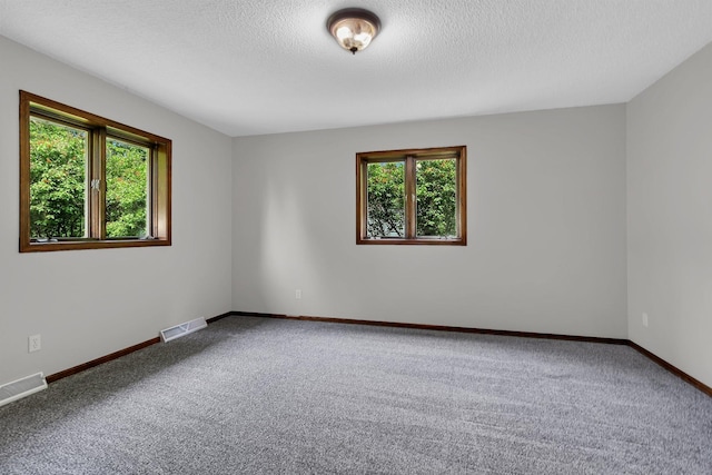 829 Cummings Ln, Saint Cloud, MN 56301 - carpeted empty room featuring plenty of natural light, baseboards, and a textured ceiling