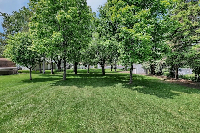 829 Cummings Ln, Saint Cloud, MN 56301 - view of green lawn
