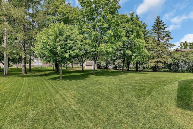 829 Cummings Ln, Saint Cloud, MN 56301 - view of green lawn