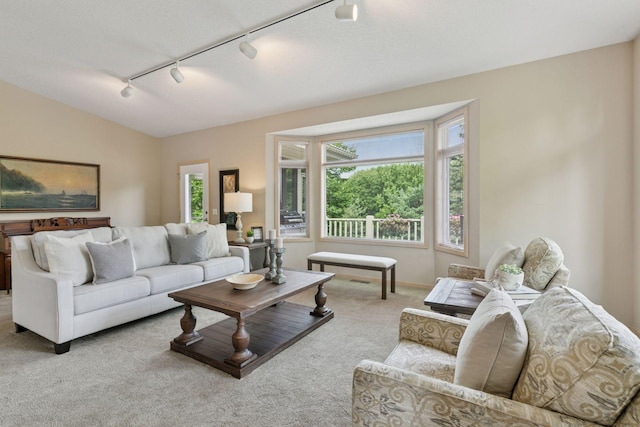 8910 Hilloway Rd, Eden Prairie, MN 55347 - carpeted living room featuring rail lighting and vaulted ceiling