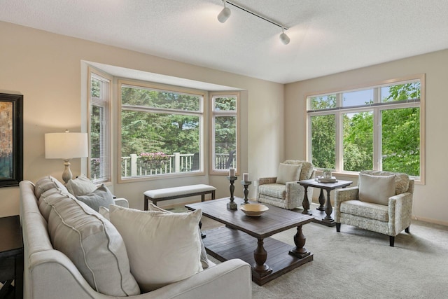 8910 Hilloway Rd, Eden Prairie, MN 55347 - carpeted living room featuring track lighting and plenty of natural light