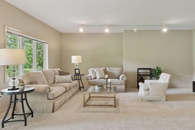 8910 Hilloway Rd, Eden Prairie, MN 55347 - living room with carpet and rail lighting