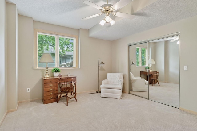 8910 Hilloway Rd, Eden Prairie, MN 55347 - sitting room featuring plenty of natural light, carpet, ceiling fan, and a textured ceiling
