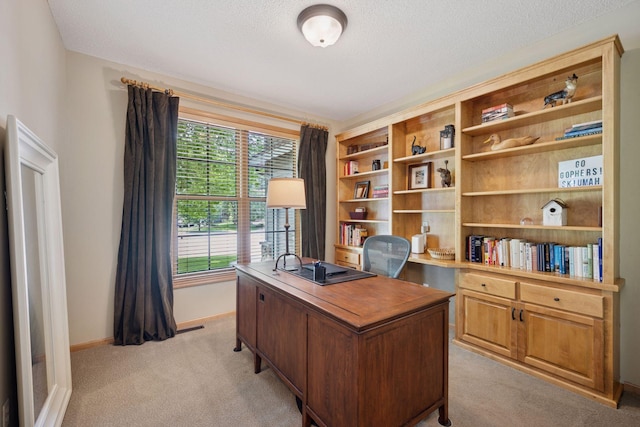 6253 Niagara Ct N, Maple Grove, MN 55311 - office featuring light colored carpet, baseboards, and a textured ceiling