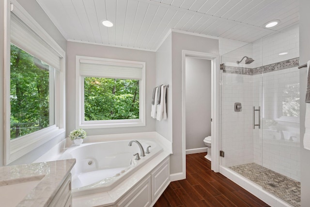 6253 Niagara Ct N, Maple Grove, MN 55311 - bathroom with a stall shower, a whirlpool tub, recessed lighting, toilet, and vanity