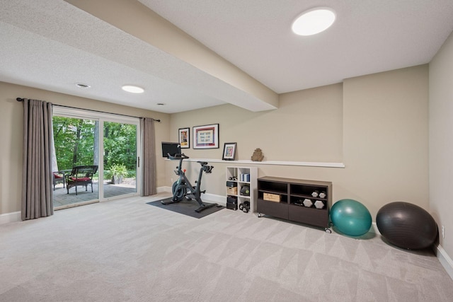 6253 Niagara Ct N, Maple Grove, MN 55311 - exercise room with carpet floors and baseboards