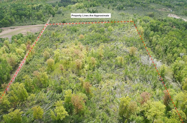 66755 Rutabaga Rd, Sandstone, MN 55072 - photo 4