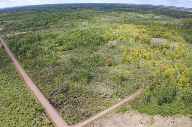 66755 Rutabaga Rd, Sandstone, MN 55072 - photo 11