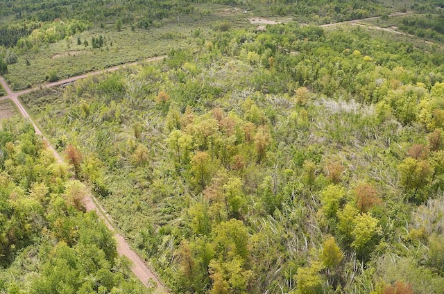 66755 Rutabaga Rd, Sandstone, MN 55072 - photo 12