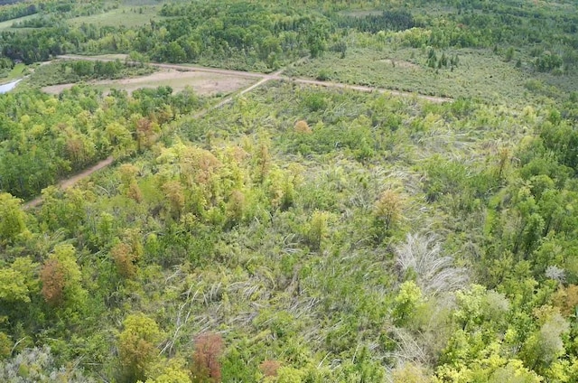 66755 Rutabaga Rd, Sandstone, MN 55072 - photo 13