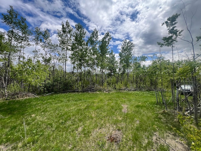 66755 Rutabaga Rd, Sandstone, MN 55072 - photo 1