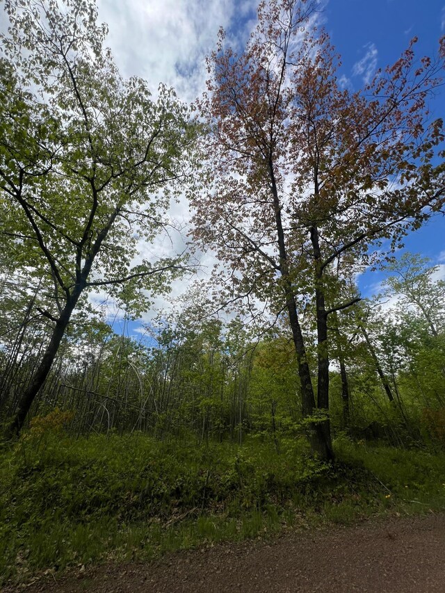 66755 Rutabaga Rd, Sandstone, MN 55072 - photo 6