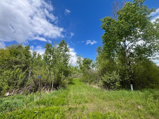66755 Rutabaga Rd, Sandstone, MN 55072 - photo 7