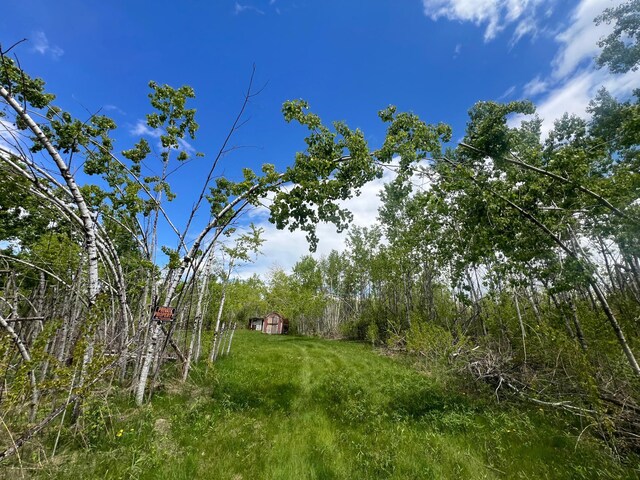 66755 Rutabaga Rd, Sandstone, MN 55072 - photo 9