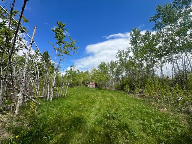 66755 Rutabaga Rd, Sandstone, MN 55072 - photo 10