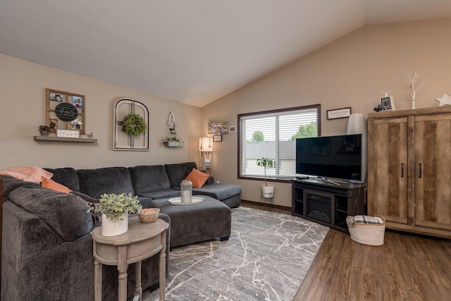 641 Beverly St, Wanamingo, MN 55983 - living area featuring lofted ceiling and wood finished floors