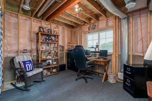 641 Beverly St, Wanamingo, MN 55983 - view of office