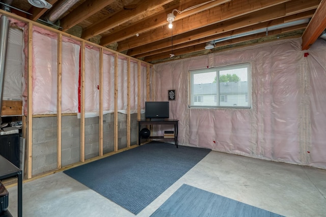 641 Beverly St, Wanamingo, MN 55983 - view of below grade area