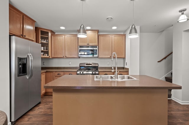 3474 White Pine Way, Stillwater, MN 55082 - kitchen with stainless steel appliances, a sink, dark wood finished floors, glass insert cabinets, and recessed lighting
