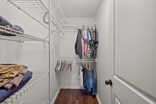 3474 White Pine Way, Stillwater, MN 55082 - spacious closet with wood finished floors