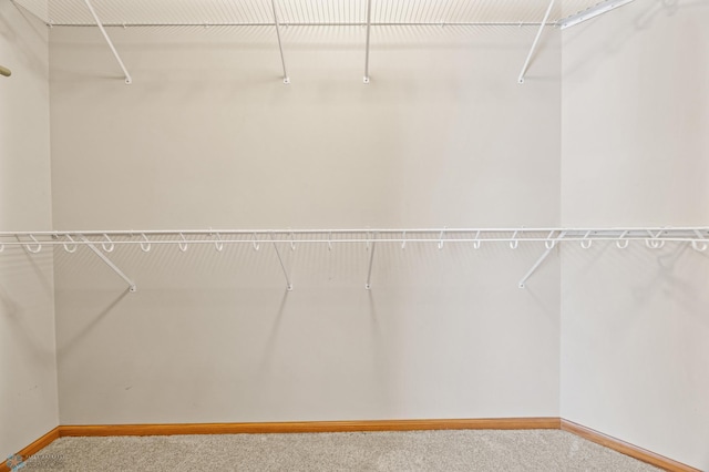 4388 52nd St S, Fargo, ND 58104 - walk in closet with carpet