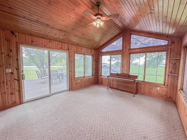731 Grove Ave, Bird Island, MN 55310 - unfurnished sunroom with vaulted ceiling, healthy amount of natural light, wooden walls, carpet flooring, and baseboards