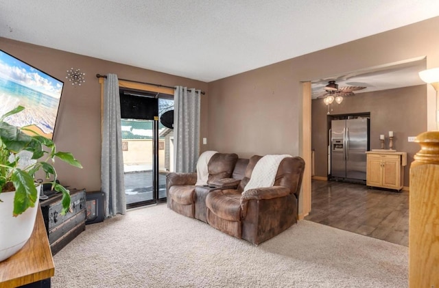 663B Main St, Ellsworth, WI 54011 - living room featuring carpet floors and a ceiling fan