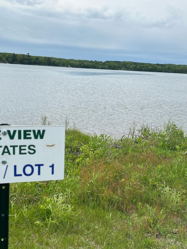 1625 Lake Ave, Luck, WI 54853 - water view