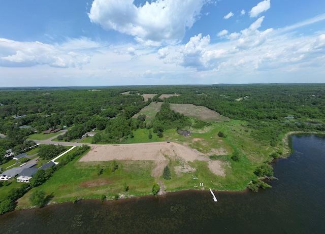 1625 Lake Ave, Luck, WI 54853 - drone / aerial view of a forest and a large body of water