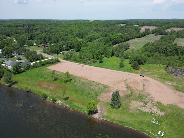 1625 Lake Ave, Luck, WI 54853 - aerial view of property and surrounding area featuring a large body of water and a heavily wooded area